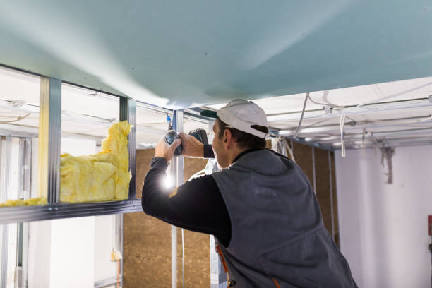 Best Residential Insulation Services  in Ronan, MT