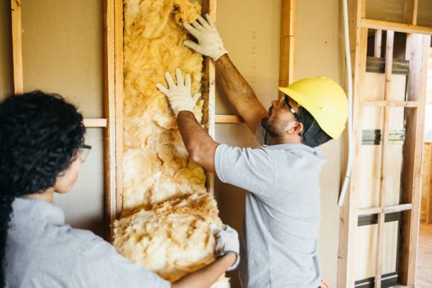 Best Commercial Insulation Contractor  in Ronan, MT
