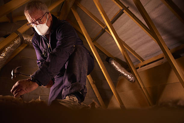 Best Spray Foam Insulation  in Ronan, MT